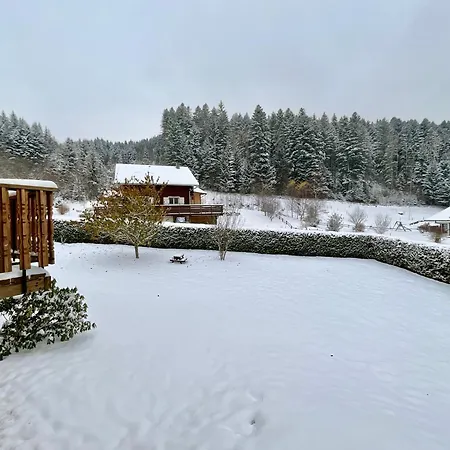 Chalet Du Pre - Sauna, Terrasse Et Grand Jardin Xonrupt-Longemer Exterior photo